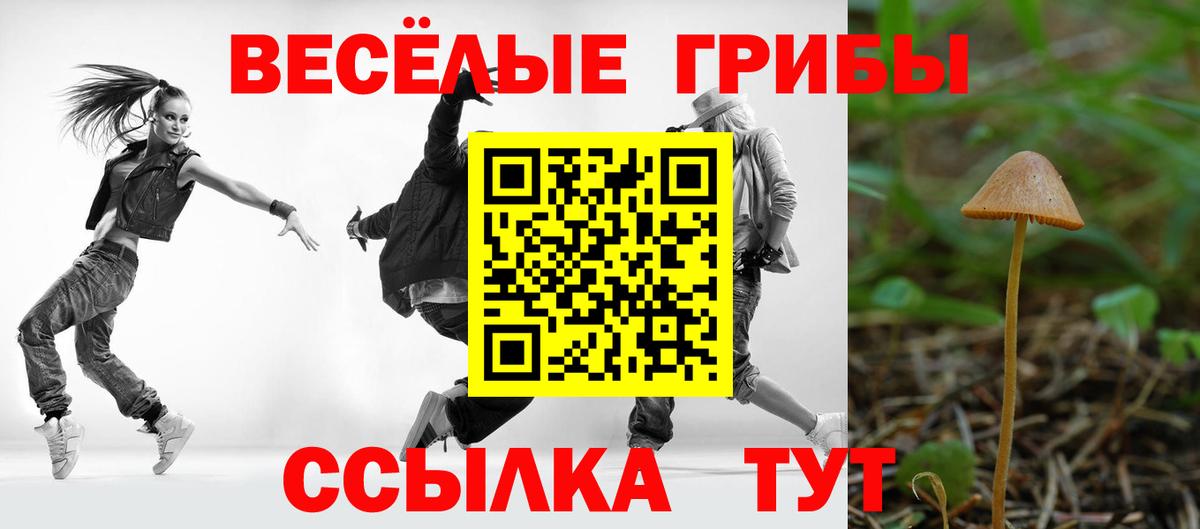 как найти закладки  Вход с VPN  Псилоцибиновые грибы Psilocybine cubensis  Анапа  Псилоцибиновые грибы Magic Shrooms 