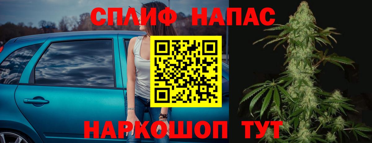Конопля гибрид Анапа